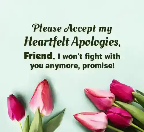 sorry message for friend