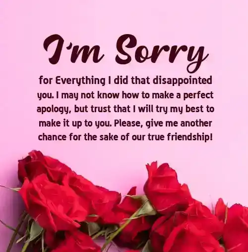 long sorry message for friend