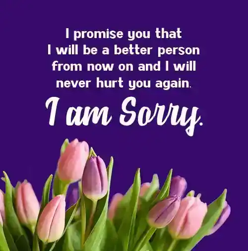 sorry quotes for gf