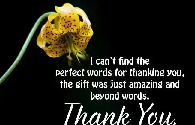 Thank You Messages to Girlfriend for the Gift Received
