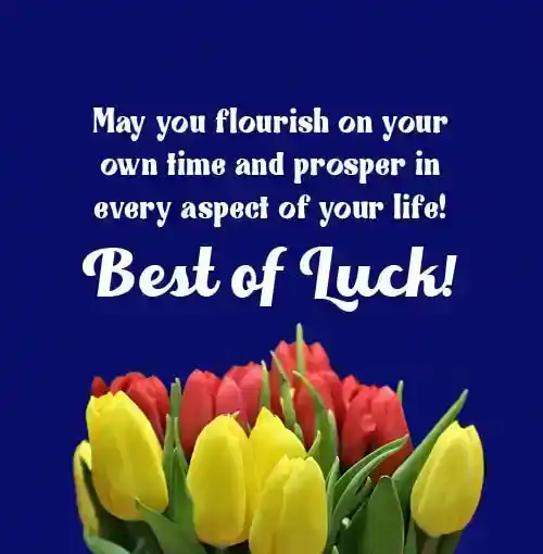 good wishes quotes
