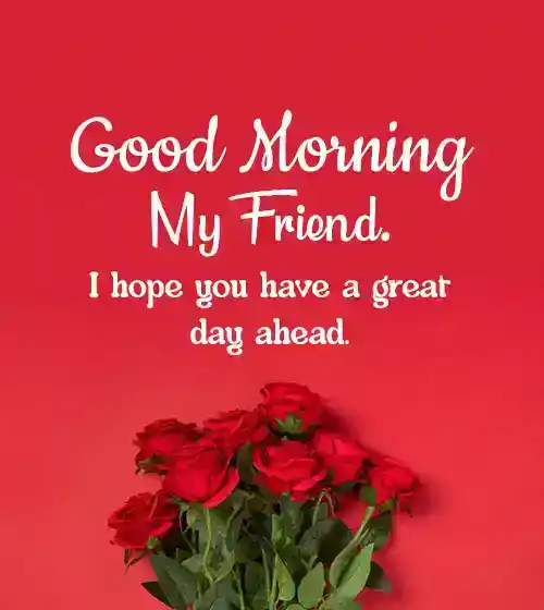 Good Morning Friend