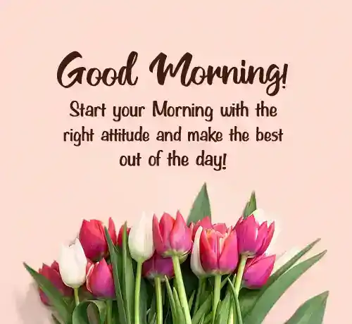 good morning wish