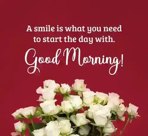 morning wishes