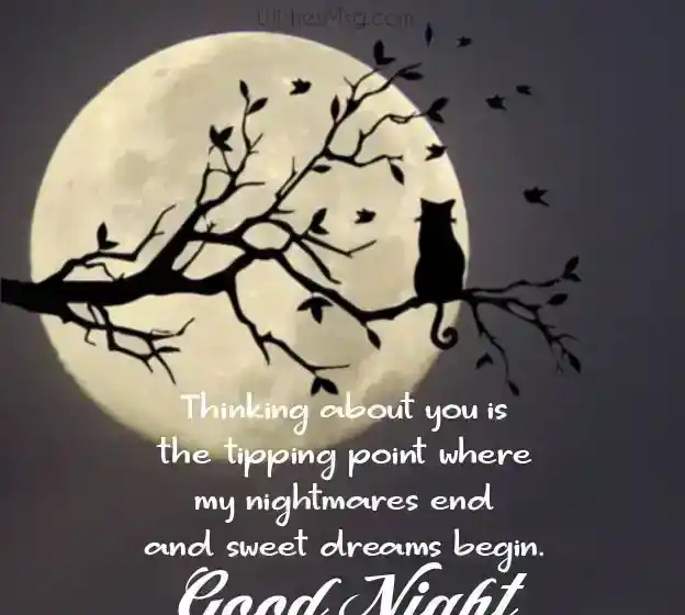 Good Night Love Text