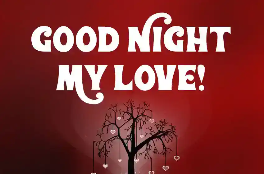 Romantic Good Night Message