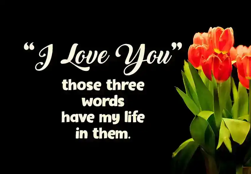 Sweet Love Quotes