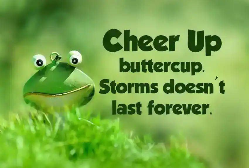 Cheer Up Wishes Quotes