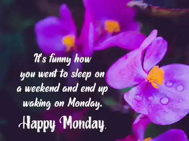 happy-monday-funny