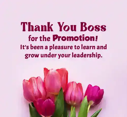 Thank You Message to Boss for Promotion