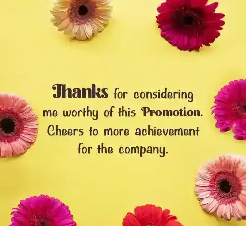 thank you email for promotion