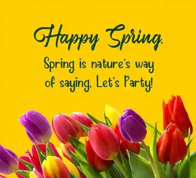 Happy Spring Quotes
