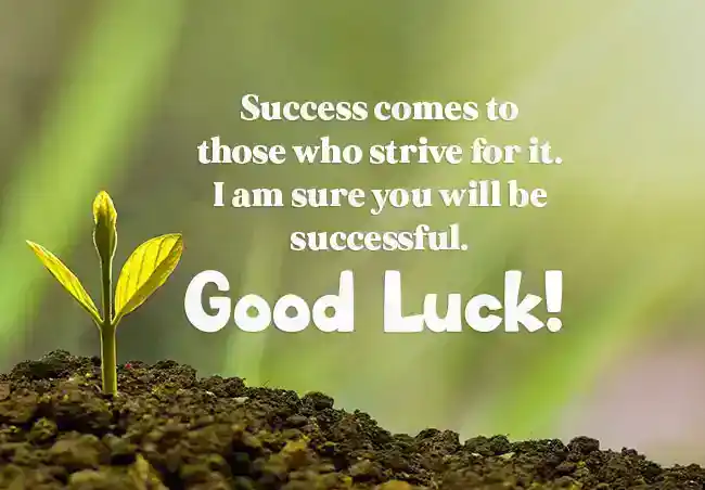 Wishes-for-Success