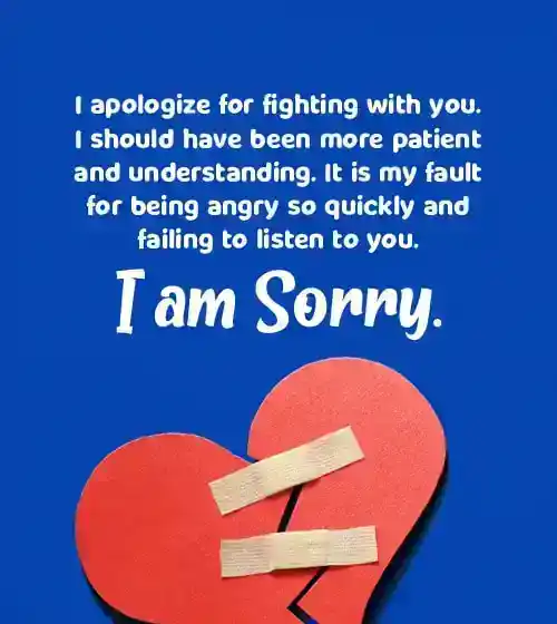 sorry paragraph for boyfriend