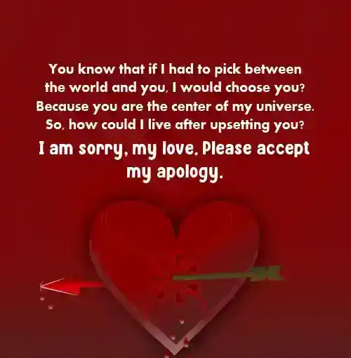 heart touching sorry paragraphs for him