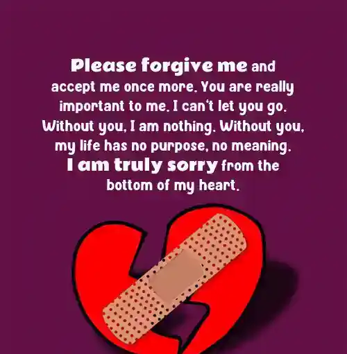 long sorry paragraph for him