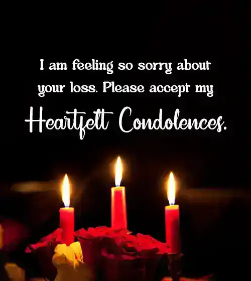 condolences for loss of pet