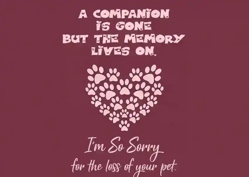 Condolences for Loss of Pet