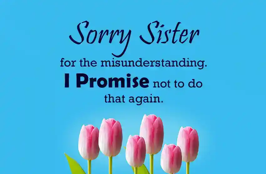 Touchy sorry messages for sister