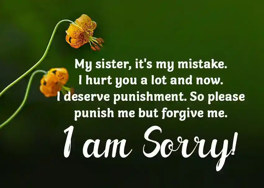 Apology quotes to sister