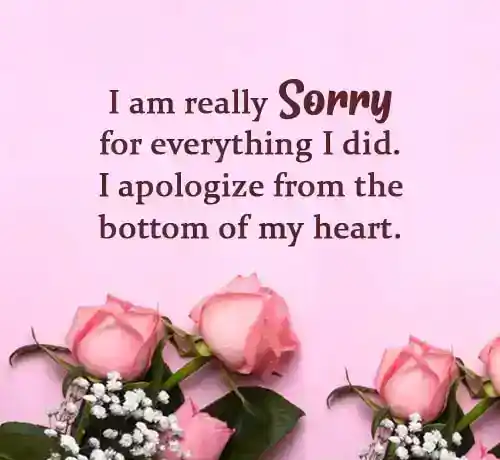 apology message to my wife