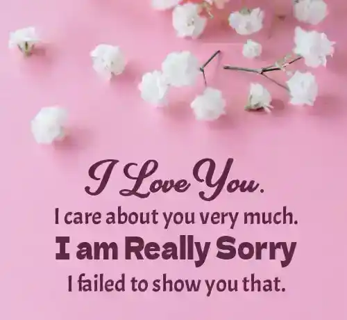 romantic sorry quotes for wife