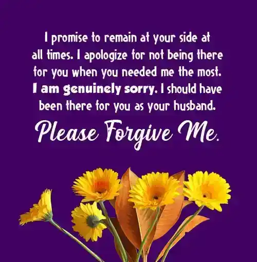 long sorry message for wife