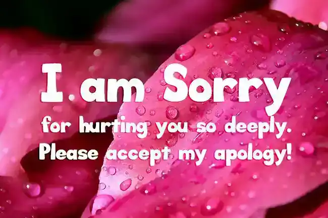 sorry-quotes-for-wife