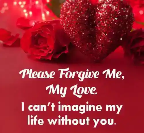 sorry message to wife