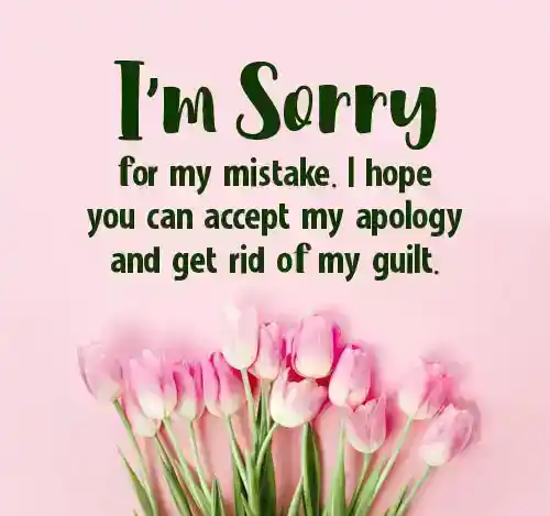 sorry for my mistake messages