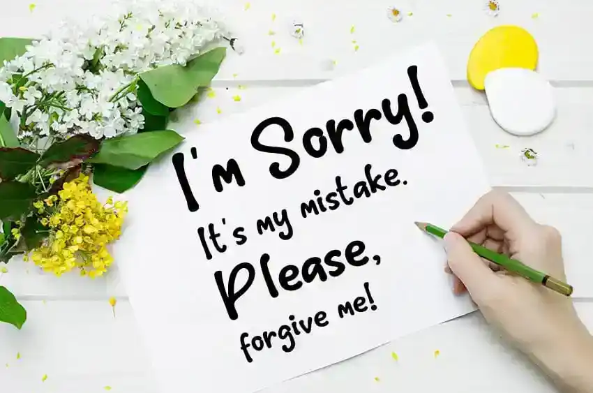 Heart Touching Sorry Messages for Boyfriend