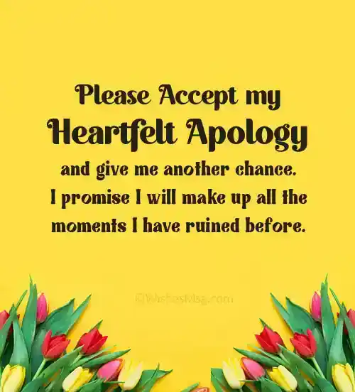 apology message
