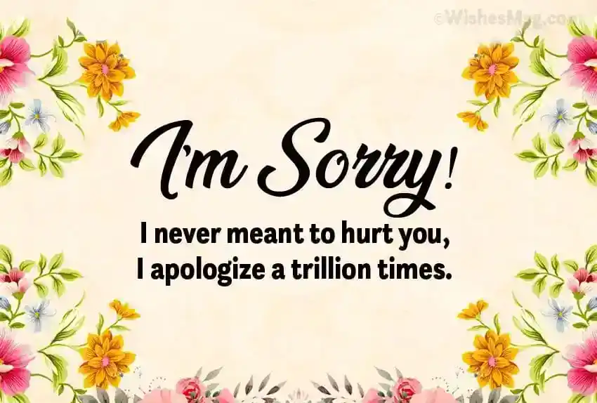 sorry msg