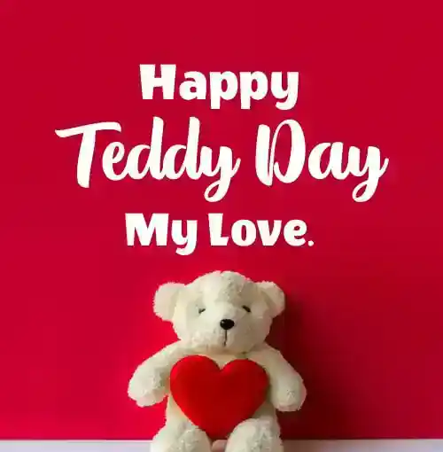 happy teddy day my love