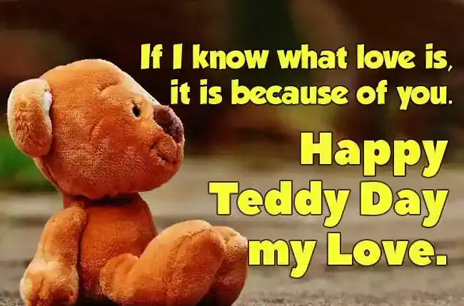 Teddy Day wishes for Him