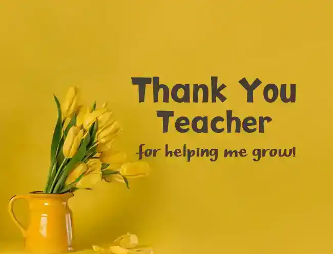 thank you teacher quotes