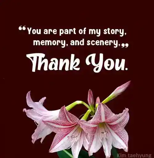 thank you quotes