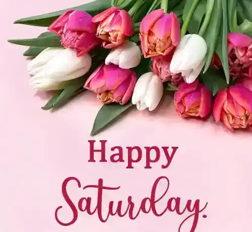 Souhaits de samedi et bonjour