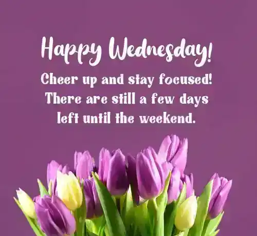happy wednesday