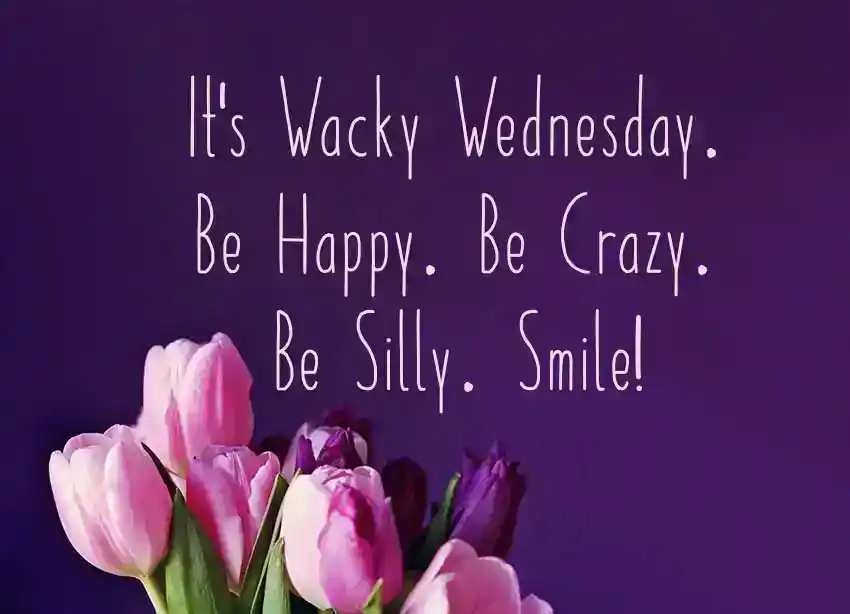 Funny Wednesday Wishes