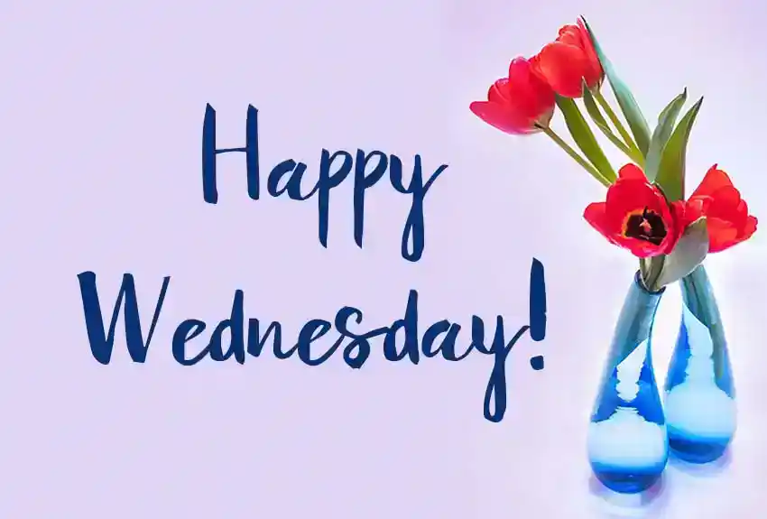 Happy Wednesday Greetings Messages
