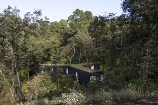 grünes Haus im Wald